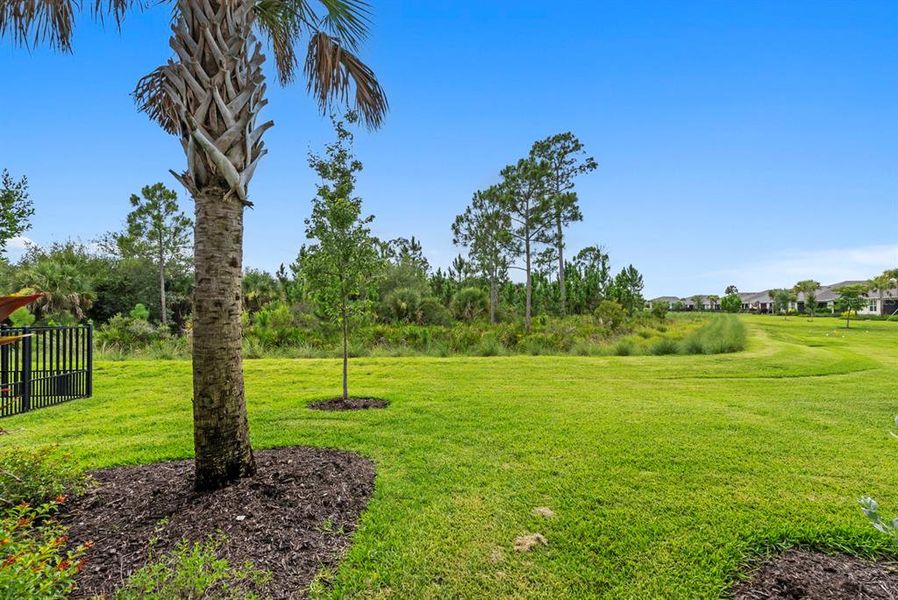 Natural landscape and outdoor views near  in Punta Gorda (Image 36).