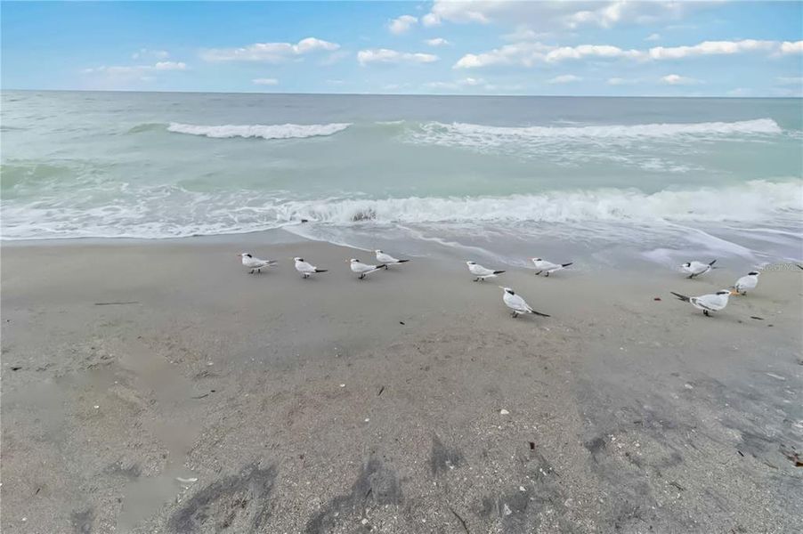 Image 53 of a home in .