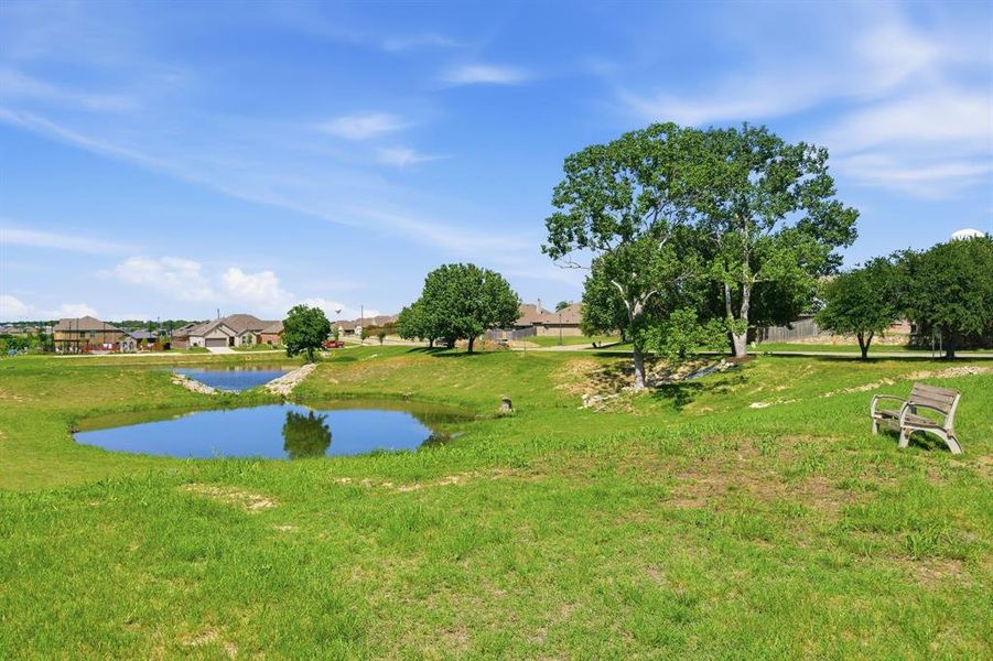 Natural landscape and outdoor views near Reatta Ridge in Justin (Image 28).