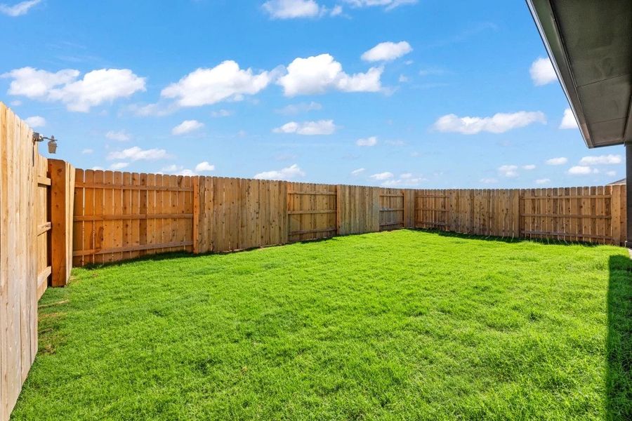 Backyard