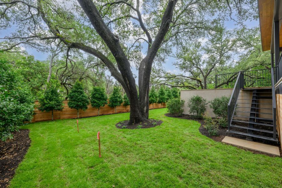 A verdant lawn creates a tranquil backyard retreat, framed by mature trees and a privacy fence. A verdant lawn creates a tranquil backyard retreat, framed by mature trees and a privacy fence.