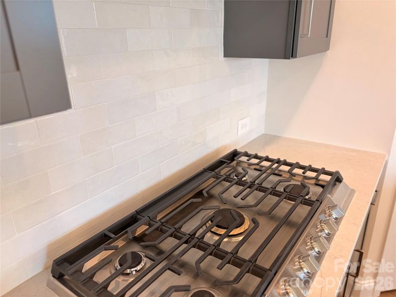 Close-up of interior finishes inside a home in Encore at Harmony, Harrisburg (Image 28).