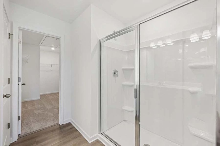 Primary Bathroom Walk-In Shower