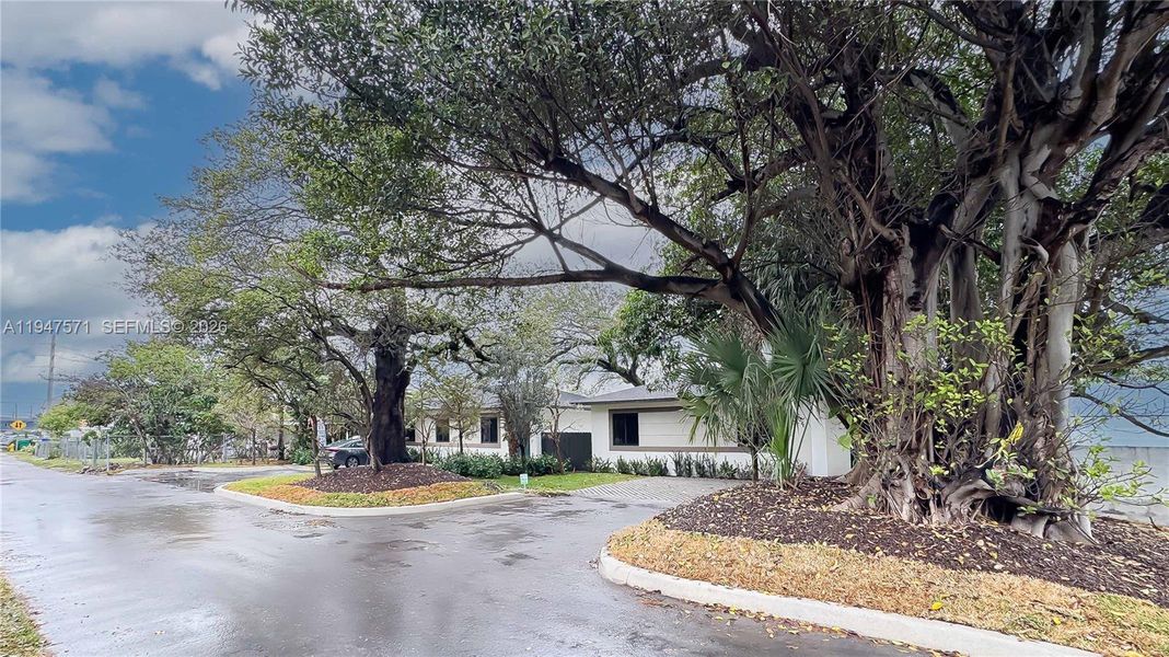 Natural landscape and outdoor views near  in Miami (Image 31).