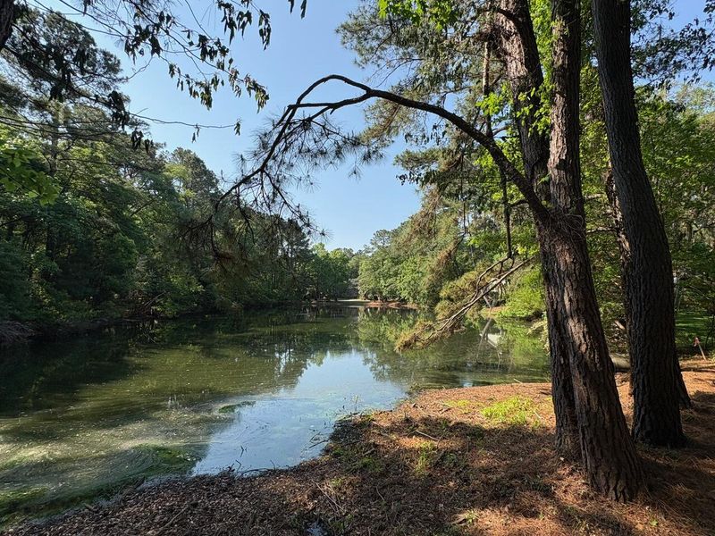 Natural landscape and outdoor views near  in Hollywood (Image 46).