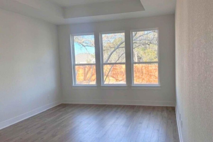 Unfurnished room with dark wood-style floors and a raised ceiling