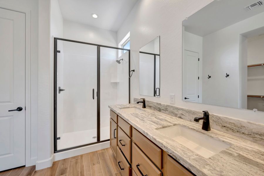 Owner's Bath