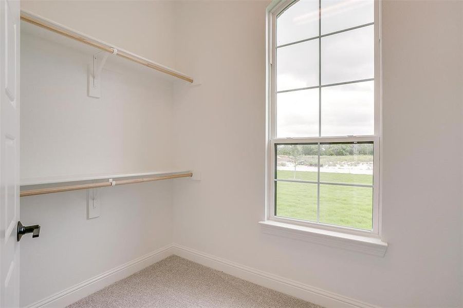 Spacious closet featuring carpet flooring