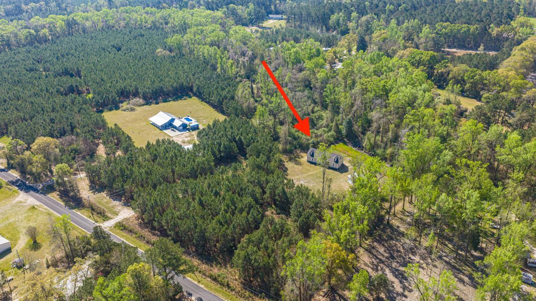 Natural landscape and outdoor views near  in Cottageville (Image 38).