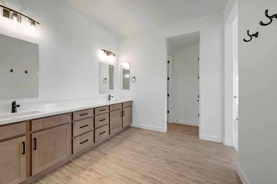 Owner's Bath