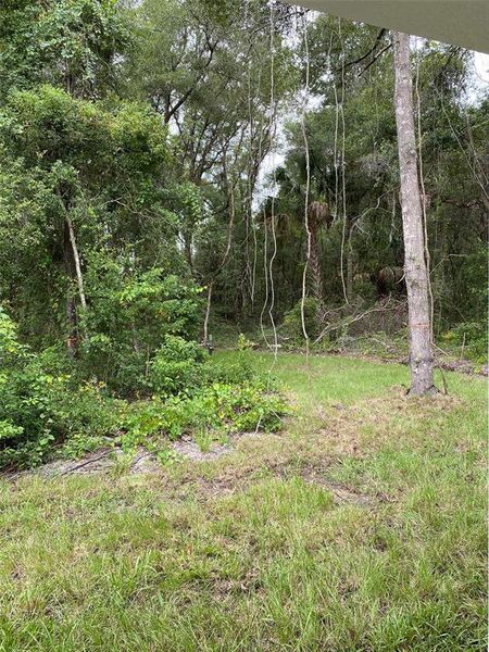 Natural landscape and outdoor views near in Ocala (Image 27). Natural landscape and outdoor views near in Ocala (Image 27).