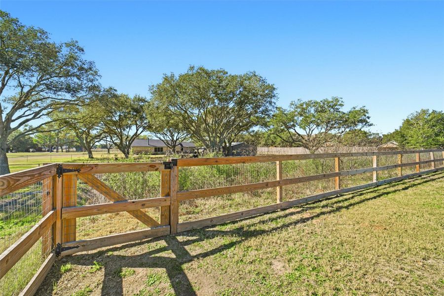 Natural landscape and outdoor views near Tejas Landing in Needville (Image 48).