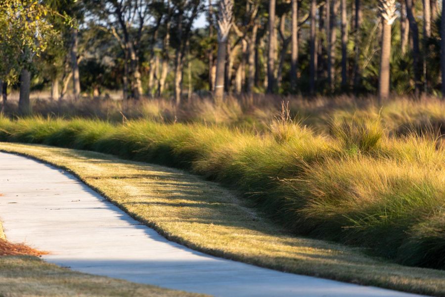 Natural landscape and outdoor views near  in Charleston (Image 62).