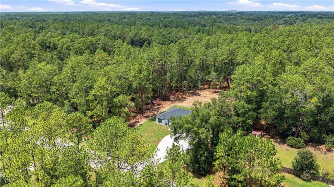 Natural landscape and outdoor views near in Dunnellon (Image 34). Natural landscape and outdoor views near in Dunnellon (Image 34).