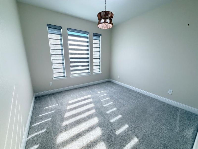 Carpeted empty room with baseboards Carpeted empty room with baseboards