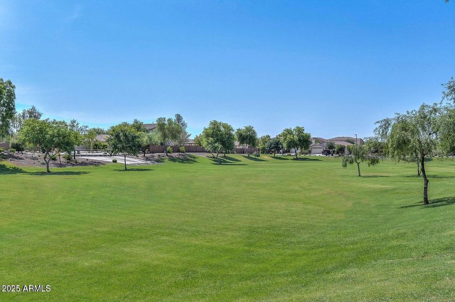 20250617165758678480000000-o 20250617165758678480000000-o