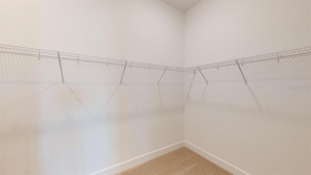 Spacious, unfurnished interior of a new home in Esplanade at Wiregrass Ranch, Wesley Chapel (Image 15).