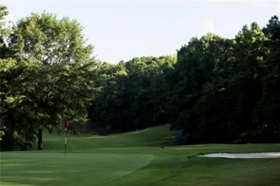 Natural landscape and outdoor views near  in Villa Rica (Image 10).