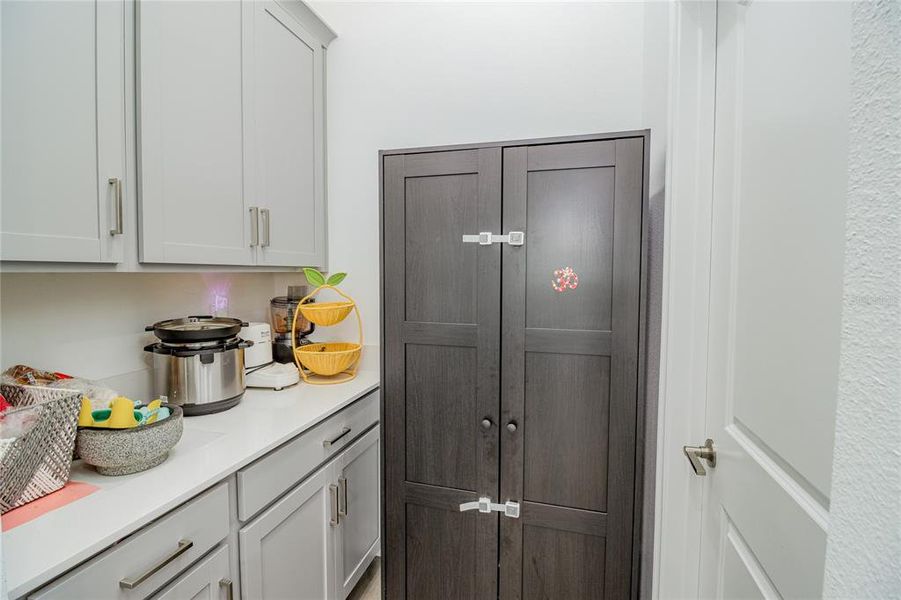 Furnished interior view inside a new home in Triple Creek: The Executives, Riverview (Image 5).