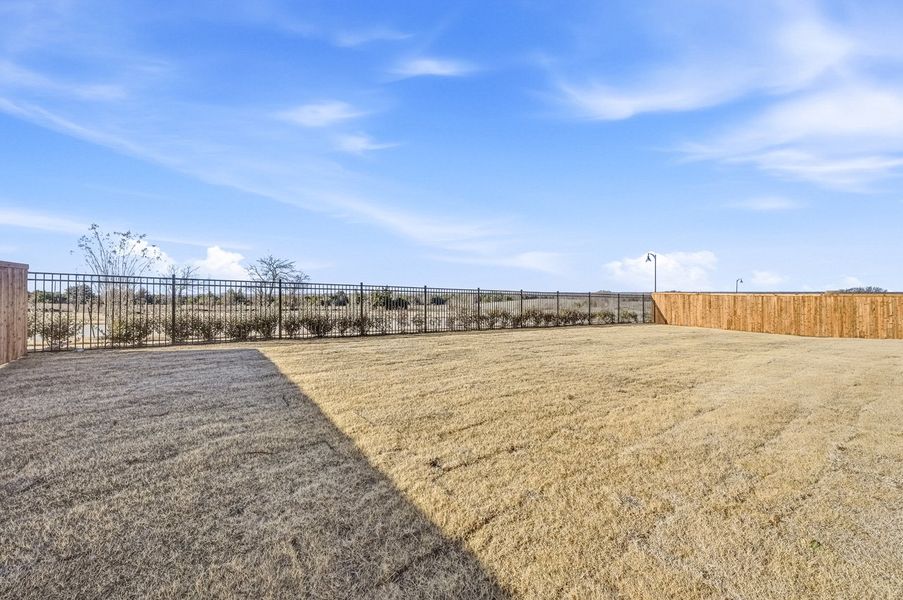 Backyard