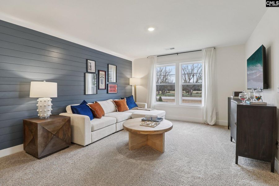 Furnished interior view inside a new home in Boykin Hills, Chapin (Image 12).
