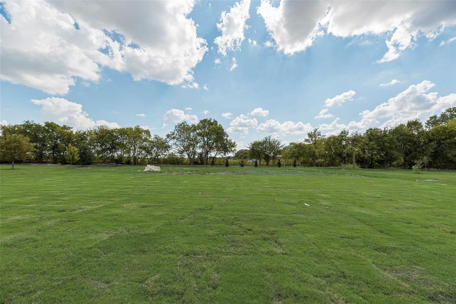 View of green lawn with a rural view