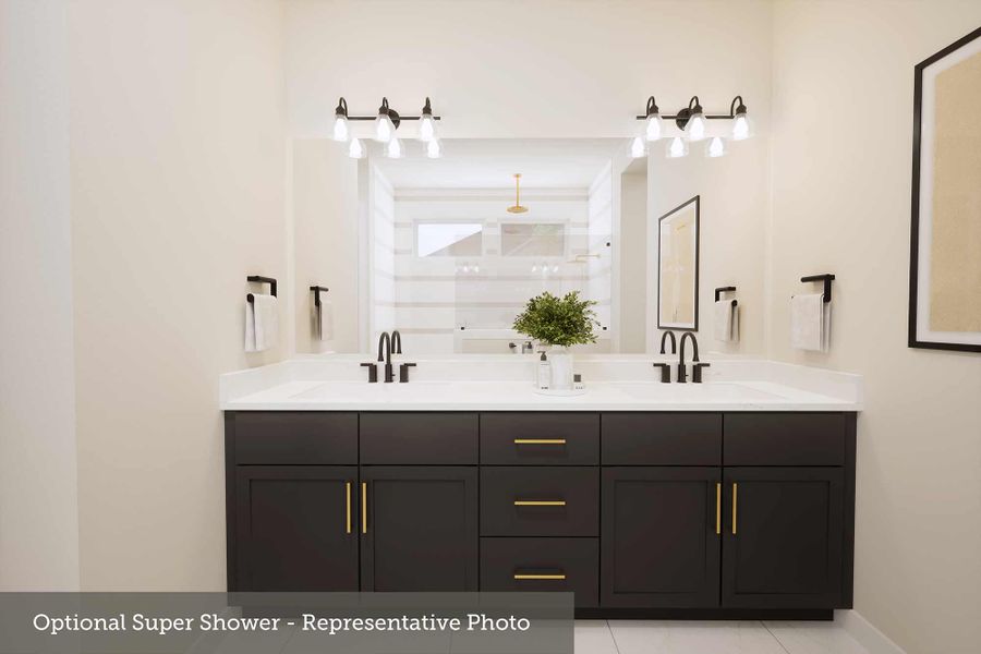 Owner's Bath - Representative Photo