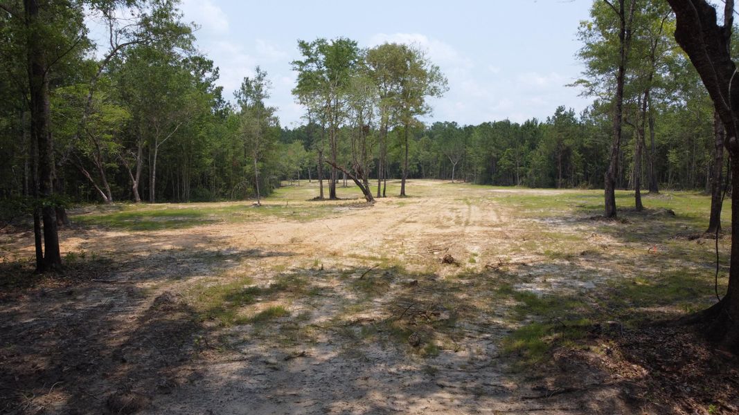 Natural landscape and outdoor views near in Huger (Image 19). Natural landscape and outdoor views near in Huger (Image 19).