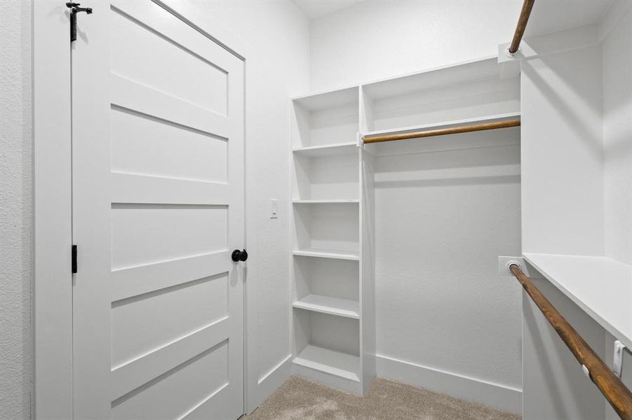 Spacious closet with light carpet