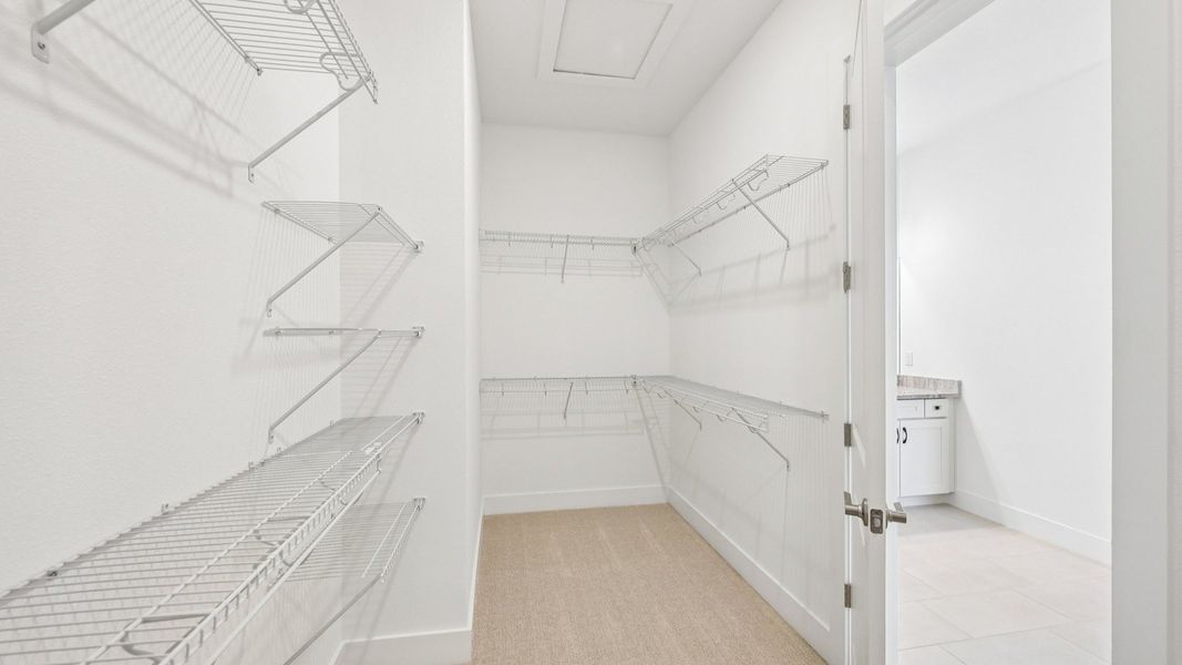 The Primary Closet The Primary Closet