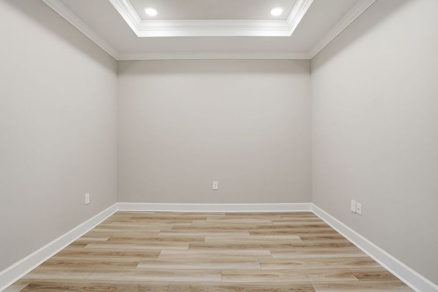 Spacious, unfurnished interior of a new home in Esplanade at Azario Lakewood Ranch, Lakewood Ranch (Image 17). Spacious, unfurnished interior of a new home in Esplanade at Azario Lakewood Ranch, Lakewood Ranch (Image 17).