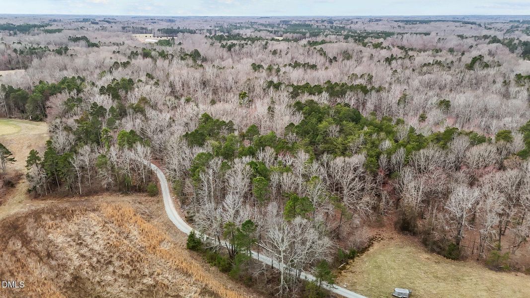 14-web-or-mls-DJI_20250310153325_0037_D