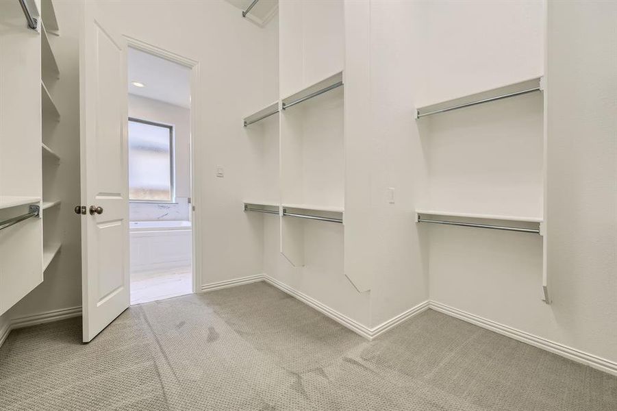 Spacious closet featuring light carpet