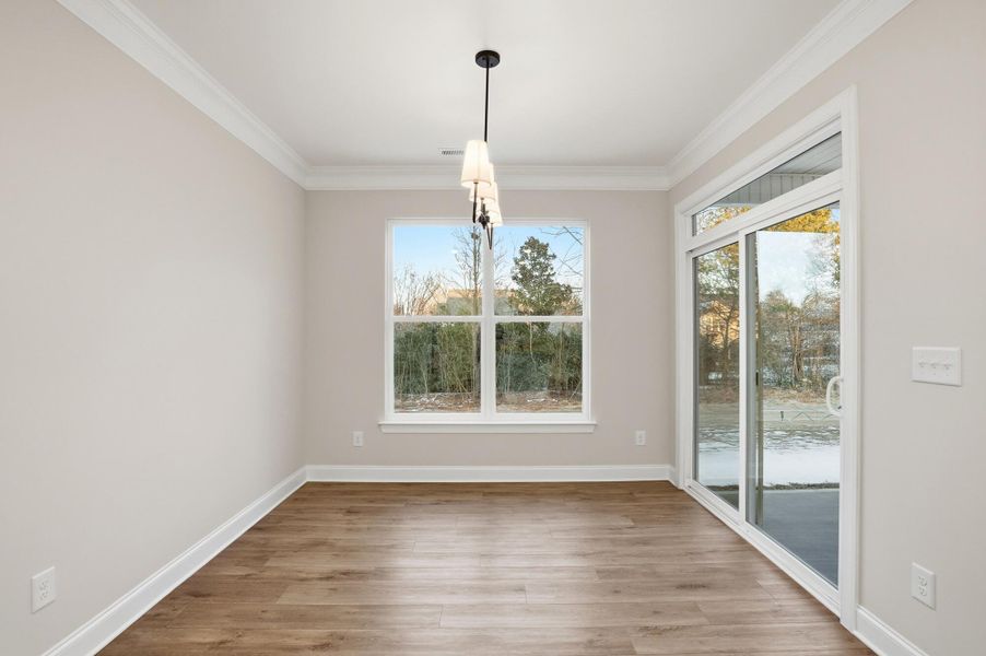 Spacious, unfurnished interior of a new home in Founders Landing | 55+ Community, Gastonia (Image 27).