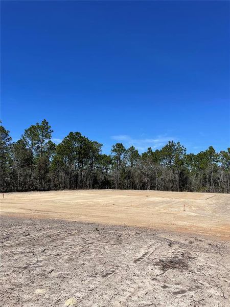 Site preparation for new homesites in , Dunnellon (Image 62).
