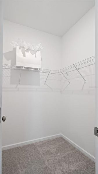 Spacious, unfurnished interior of a new home in Wellness Ridge, Clermont (Image 18). Spacious, unfurnished interior of a new home in Wellness Ridge, Clermont (Image 18).