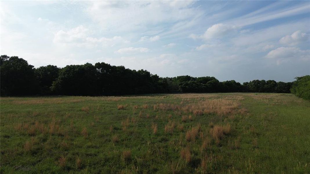 Natural landscape and outdoor views near  in Kemp (Image 9).