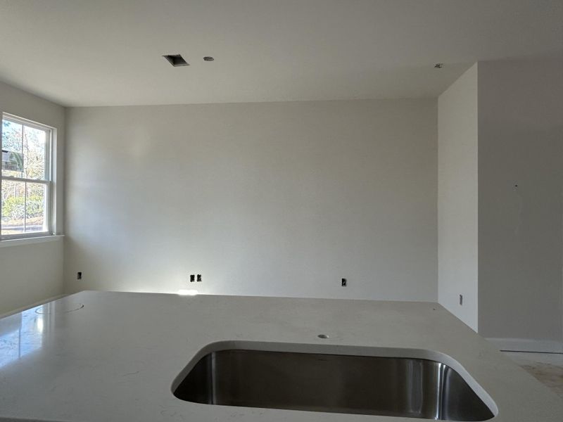 In-progress construction of a new home in , Summerville, SC (Image 31).