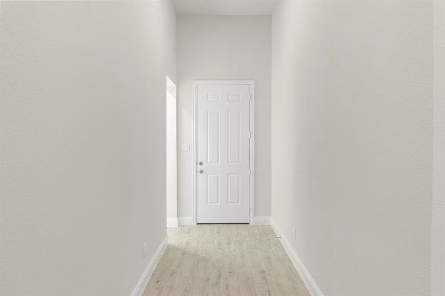 03. 139 Whistling Duck - Entry