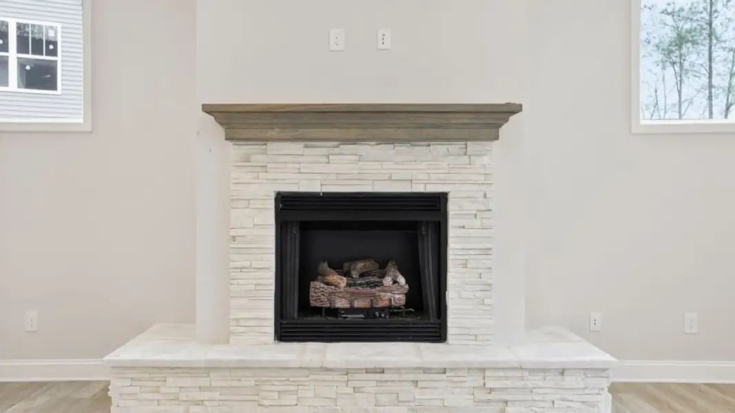 Close-up of interior finishes inside a home in Briargate, Fountain Inn (Image 13).
