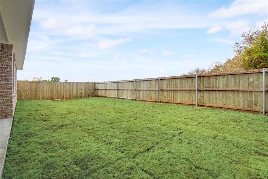 View of fenced backyard