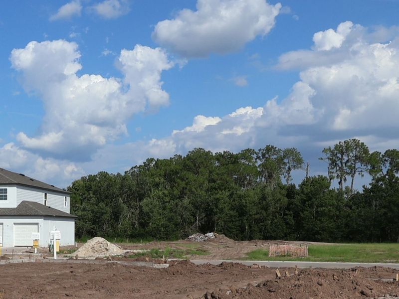 Homesite