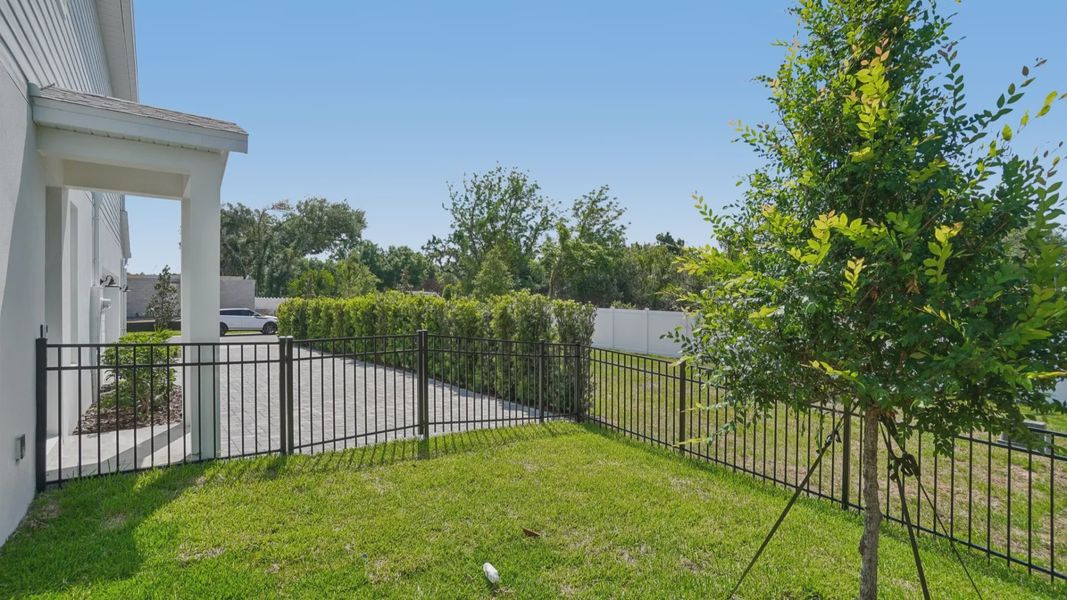 The Fenced Backyard