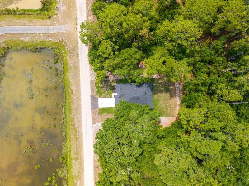 Natural landscape and outdoor views near  in Eustis (Image 54).
