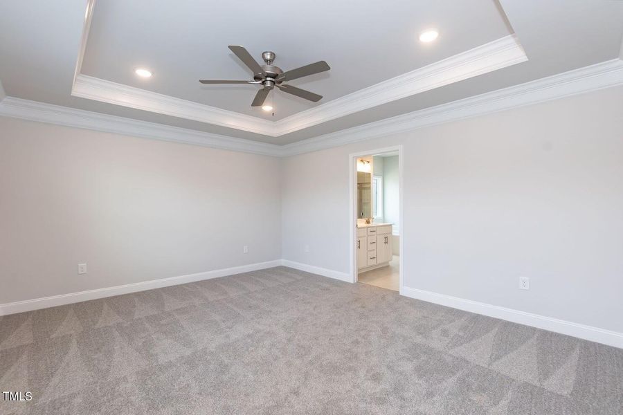 Primary 01 Primary 01