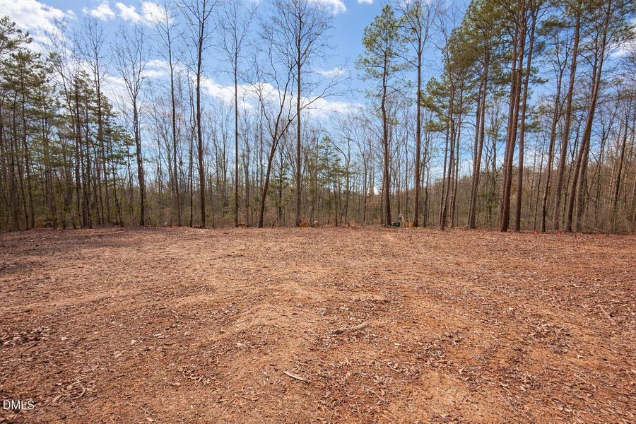 Back Yard Hamlets Back Yard Hamlets