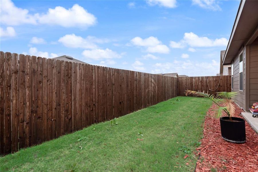 View of fenced backyard