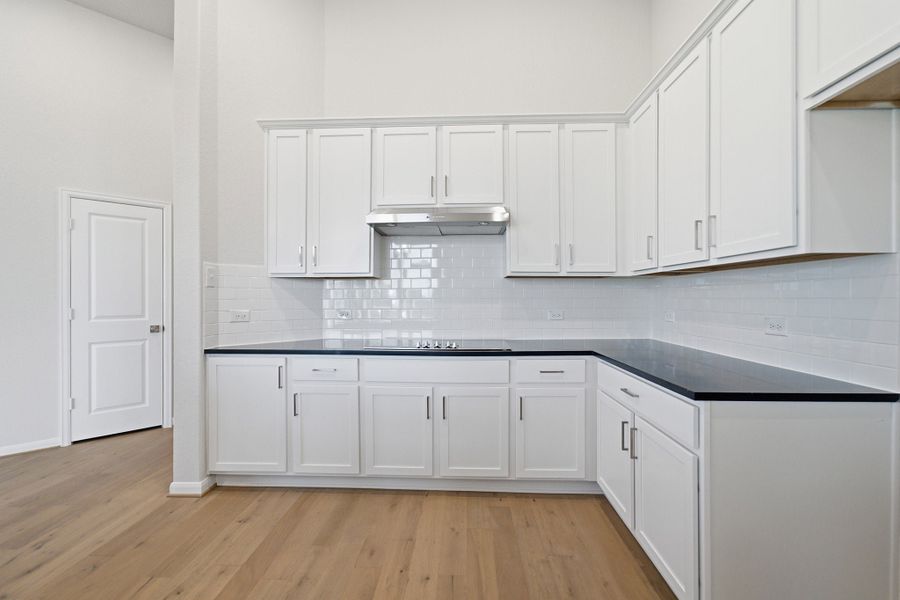 Furnished interior view inside a new home in The Woodlands at Medina Hills, Mico (Image 10).