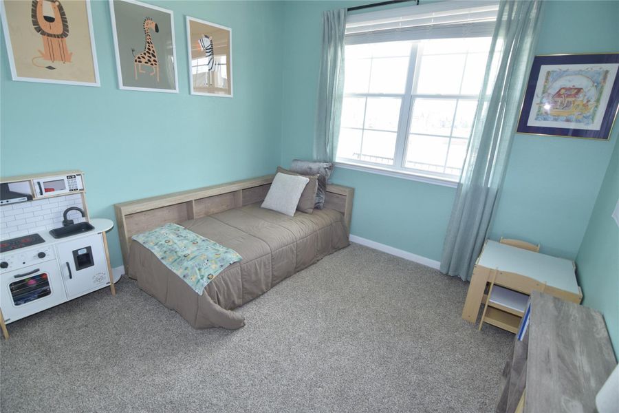 Plentiful natural light streams through a large window over plush neutral carpeting.