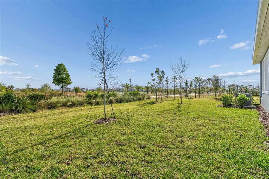 Exterior details and patio area of a home in Chapel Crossings - Garden Series, Wesley Chapel (Image 21). Exterior details and patio area of a home in Chapel Crossings - Garden Series, Wesley Chapel (Image 21).